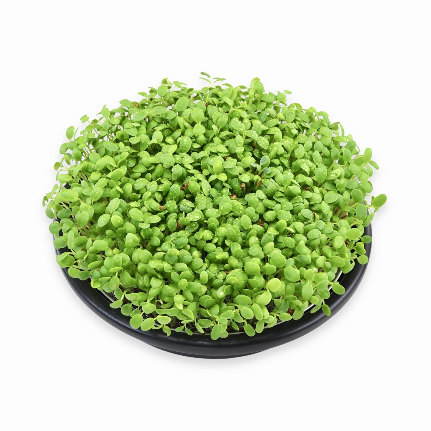 Grå Keramik Spirebakke 18 cm skål 16 cm si.jpg