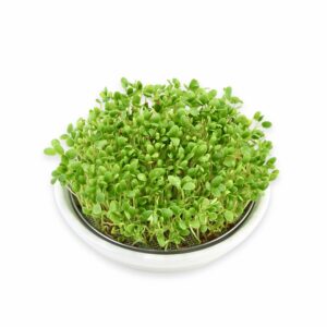 Hvid Keramik Spireskål 14 cm skål 12 cm si