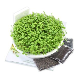 Hvid Keramik Spirebakke 18 cm komplet startkit