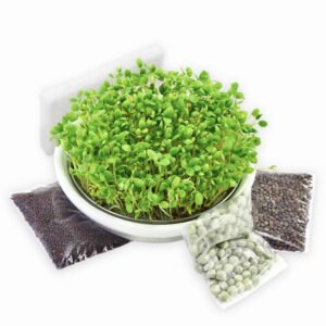 Hvid Keramik Spireskål 14 cm startkit med spirefrø