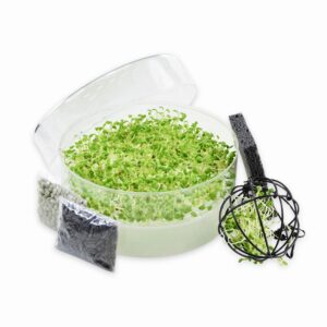 SpirePerle kæledyr kit