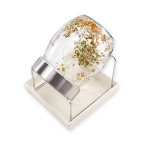 Spireglas GEO 750 ml med en dags spirer