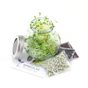 Spireglas startkit med spirefrø og manual