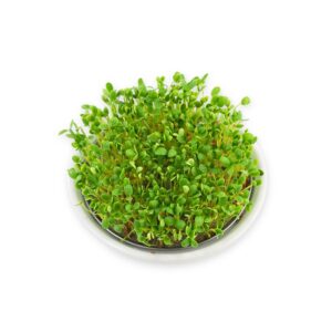 Spireskål keramik 14 cm skål med 12 cm metalsi