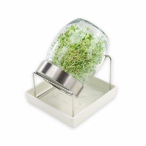 Stort spireglas 750 ml med holder og metalsi FRISKE SPIRER