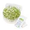 Broccolispirer SpirePerle start Kit