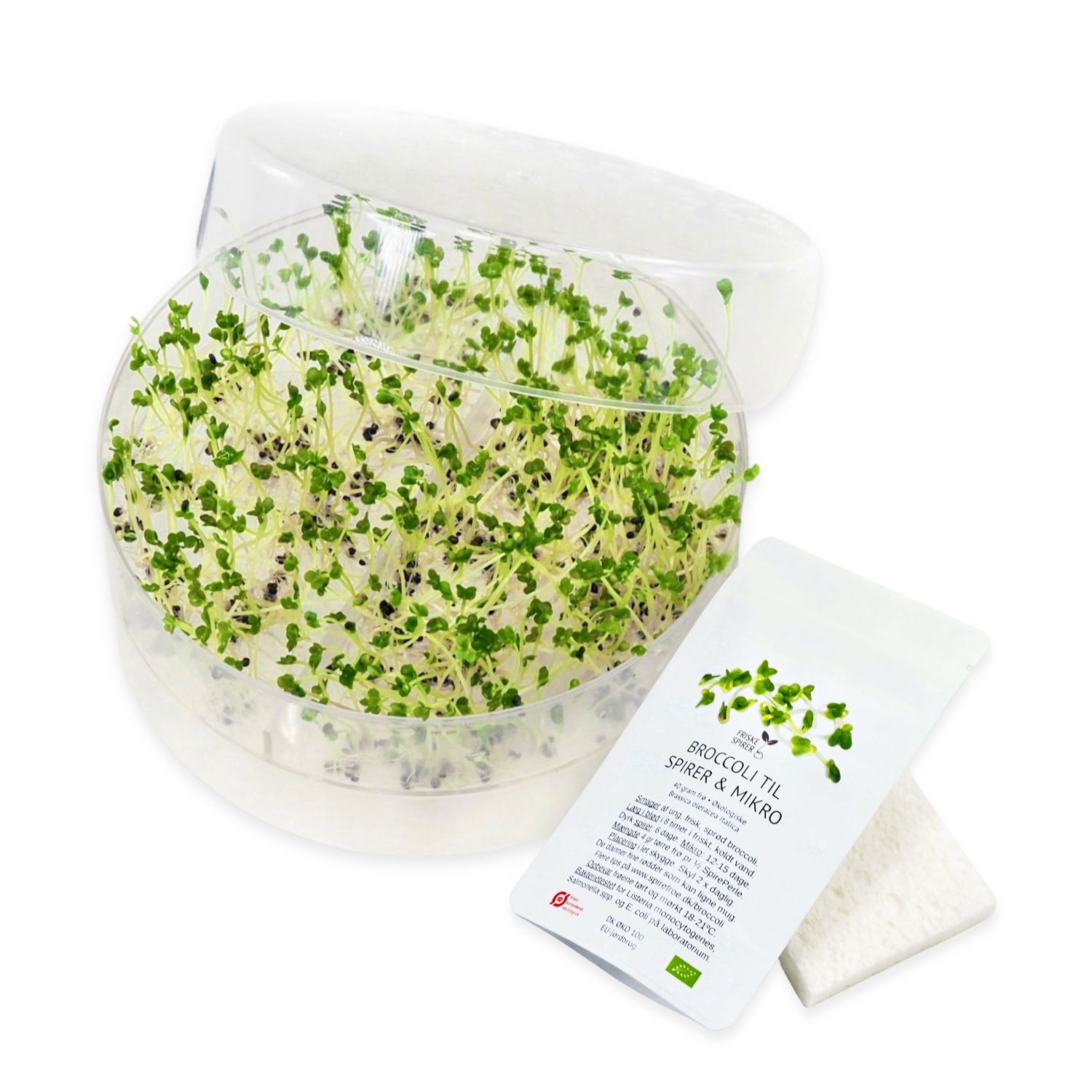 Broccolispirer SpirePerle start Kit