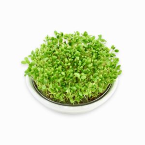 Hvid Keramik Spireskål 14 cm med 12 cm si