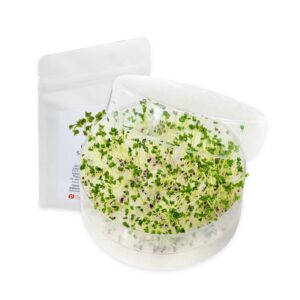 Mikrogrønt Broccoli Kit med SpirePerle og frø