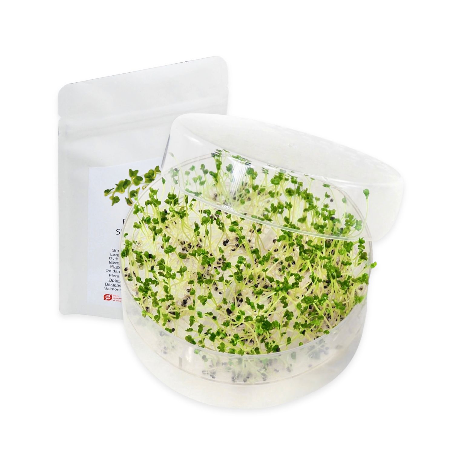 Mikrogrønt Broccoli Kit med SpirePerle og frø