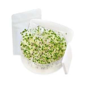 Mikrogrønt Broccoli Kit med SpirePerle og økologiske Broccolifrø