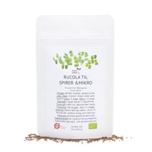 Økologiske rucola mikrogrønt frø Friske Spirer