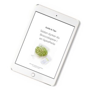 Sådan dyrker du Broccolispirer ebog pdf